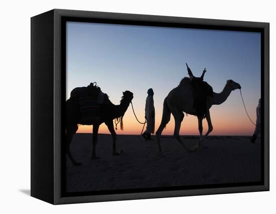 Camel Drivers at Dusk in the Sahara Desert, Near Douz, Kebili, Tunisia, North Africa, Africa-Godong-Framed Premier Image Canvas