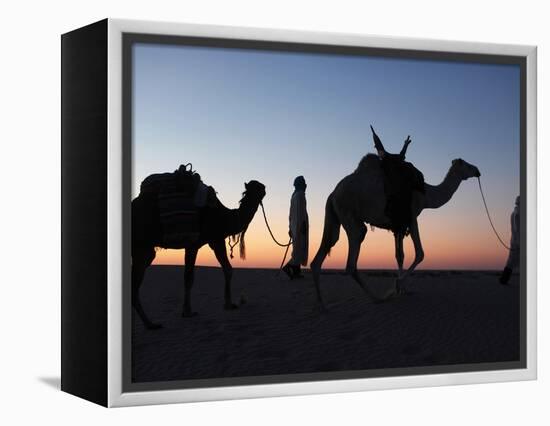 Camel Drivers at Dusk in the Sahara Desert, Near Douz, Kebili, Tunisia, North Africa, Africa-Godong-Framed Premier Image Canvas