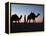 Camel Drivers at Dusk in the Sahara Desert, Near Douz, Kebili, Tunisia, North Africa, Africa-Godong-Framed Premier Image Canvas