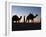 Camel Drivers at Dusk in the Sahara Desert, Near Douz, Kebili, Tunisia, North Africa, Africa-Godong-Framed Photographic Print