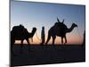 Camel Drivers at Dusk in the Sahara Desert, Near Douz, Kebili, Tunisia, North Africa, Africa-Godong-Mounted Photographic Print
