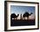 Camel Drivers at Dusk in the Sahara Desert, Near Douz, Kebili, Tunisia, North Africa, Africa-Godong-Framed Photographic Print