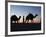 Camel Drivers at Dusk in the Sahara Desert, Near Douz, Kebili, Tunisia, North Africa, Africa-Godong-Framed Photographic Print