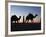 Camel Drivers at Dusk in the Sahara Desert, Near Douz, Kebili, Tunisia, North Africa, Africa-Godong-Framed Photographic Print