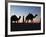 Camel Drivers at Dusk in the Sahara Desert, Near Douz, Kebili, Tunisia, North Africa, Africa-Godong-Framed Photographic Print