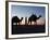 Camel Drivers at Dusk in the Sahara Desert, Near Douz, Kebili, Tunisia, North Africa, Africa-Godong-Framed Photographic Print