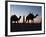 Camel Drivers at Dusk in the Sahara Desert, Near Douz, Kebili, Tunisia, North Africa, Africa-Godong-Framed Photographic Print