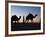 Camel Drivers at Dusk in the Sahara Desert, Near Douz, Kebili, Tunisia, North Africa, Africa-Godong-Framed Photographic Print