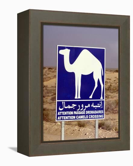 Camel (Dromedary) Crossing Sign, Near Douz, Tunisia-Natalie Tepper-Framed Stretched Canvas