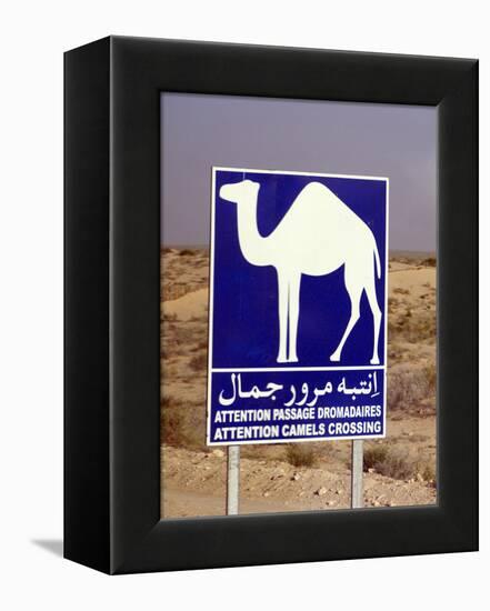 Camel (Dromedary) Crossing Sign, Near Douz, Tunisia-Natalie Tepper-Framed Stretched Canvas