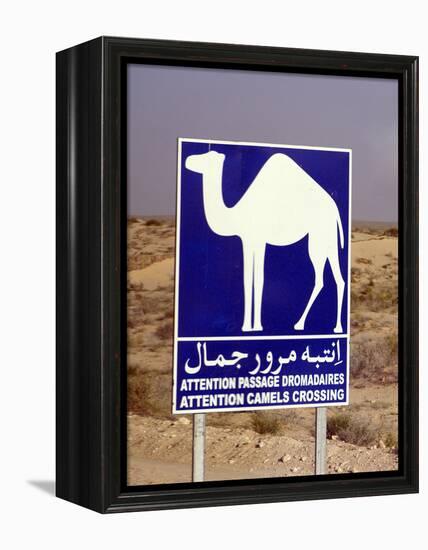 Camel (Dromedary) Crossing Sign, Near Douz, Tunisia-Natalie Tepper-Framed Stretched Canvas