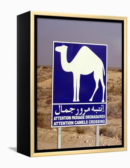 Camel (Dromedary) Crossing Sign, Near Douz, Tunisia-Natalie Tepper-Framed Stretched Canvas