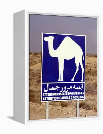 Camel (Dromedary) Crossing Sign, Near Douz, Tunisia-Natalie Tepper-Framed Stretched Canvas