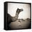 Camel Fair in Pushkar, India-Theo Westenberger-Framed Premier Image Canvas