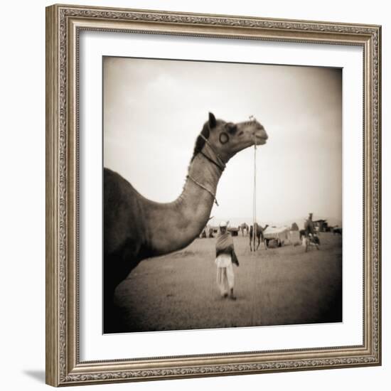 Camel Fair in Pushkar, India-Theo Westenberger-Framed Photographic Print