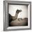 Camel Fair in Pushkar, India-Theo Westenberger-Framed Photographic Print