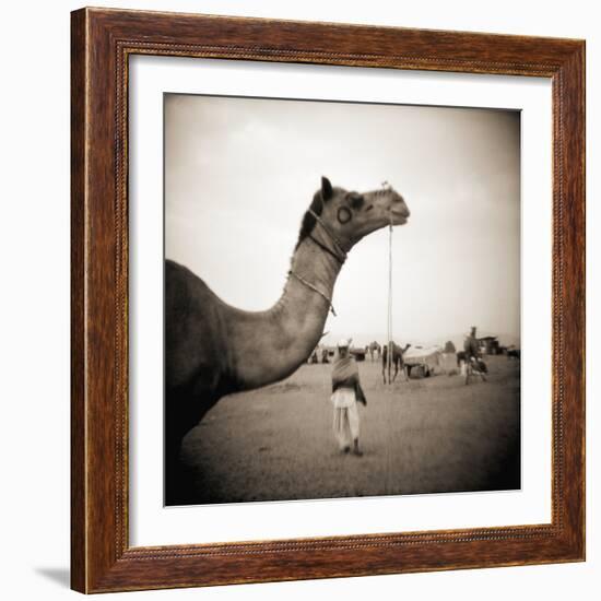 Camel Fair in Pushkar, India-Theo Westenberger-Framed Photographic Print