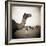 Camel Fair in Pushkar, India-Theo Westenberger-Framed Photographic Print