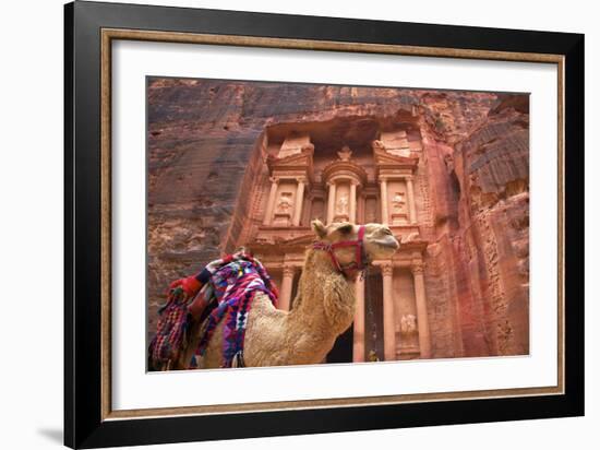 Camel in Front of the Treasury, Petra, Jordan, Middle East-Neil Farrin-Framed Photographic Print