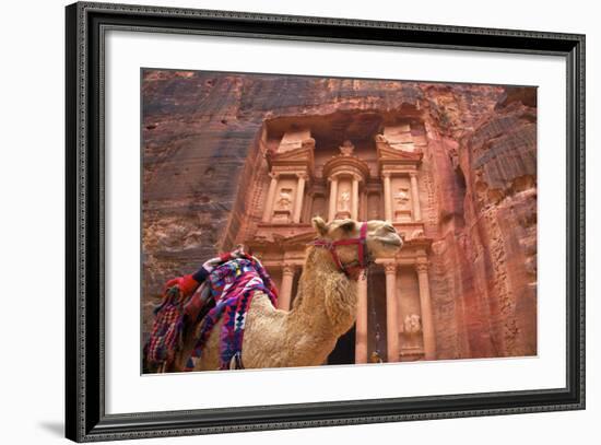 Camel in Front of the Treasury, Petra, Jordan, Middle East-Neil Farrin-Framed Photographic Print