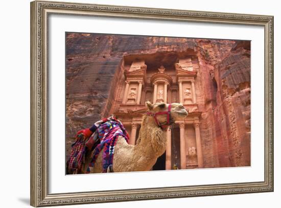 Camel in Front of the Treasury, Petra, Jordan, Middle East-Neil Farrin-Framed Photographic Print