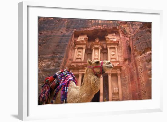 Camel in Front of the Treasury, Petra, Jordan, Middle East-Neil Farrin-Framed Photographic Print