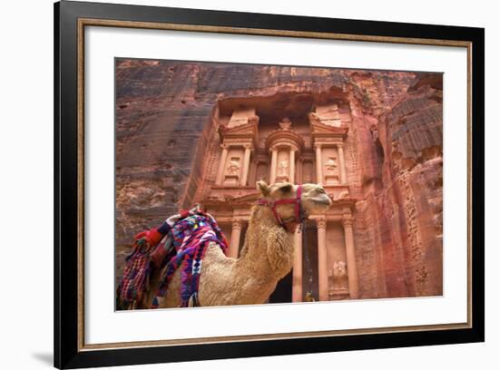 Camel in Front of the Treasury, Petra, Jordan, Middle East-Neil Farrin-Framed Photographic Print