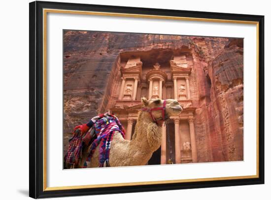 Camel in Front of the Treasury, Petra, Jordan, Middle East-Neil Farrin-Framed Photographic Print