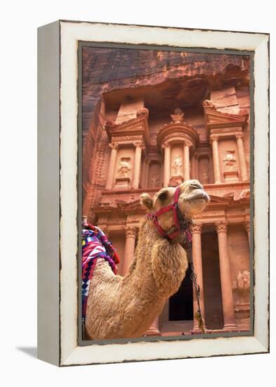Camel in Front of the Treasury, Petra, Jordan, Middle East-Neil Farrin-Framed Premier Image Canvas