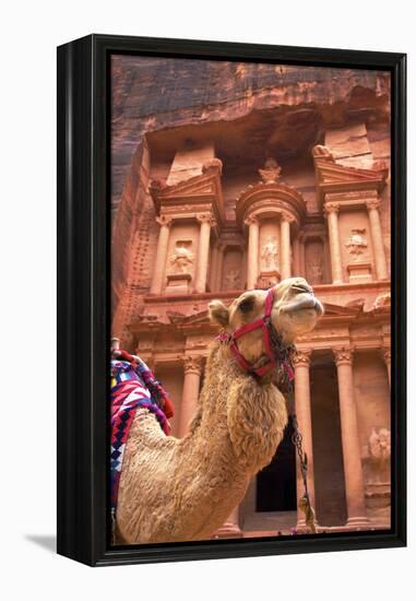 Camel in Front of the Treasury, Petra, Jordan, Middle East-Neil Farrin-Framed Premier Image Canvas