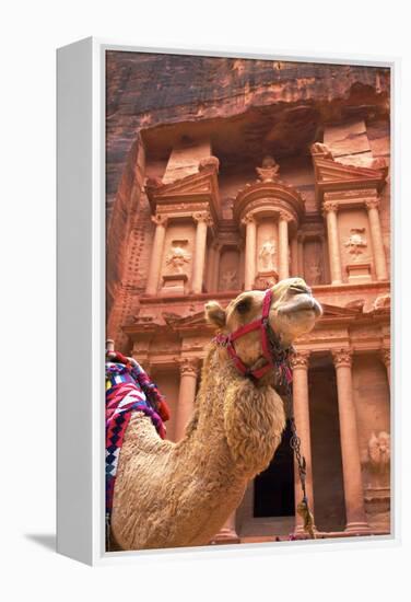 Camel in Front of the Treasury, Petra, Jordan, Middle East-Neil Farrin-Framed Premier Image Canvas