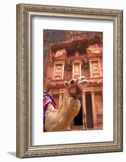 Camel in Front of the Treasury, Petra, Jordan, Middle East-Neil Farrin-Framed Photographic Print