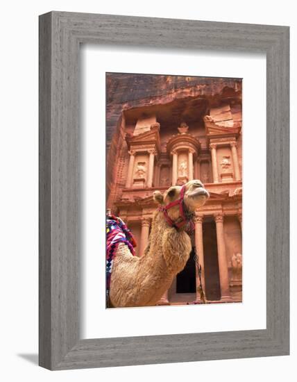 Camel in Front of the Treasury, Petra, Jordan, Middle East-Neil Farrin-Framed Photographic Print