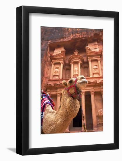 Camel in Front of the Treasury, Petra, Jordan, Middle East-Neil Farrin-Framed Photographic Print