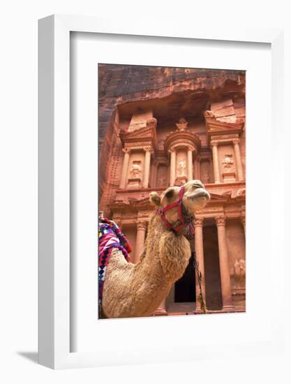 Camel in Front of the Treasury, Petra, Jordan, Middle East-Neil Farrin-Framed Photographic Print