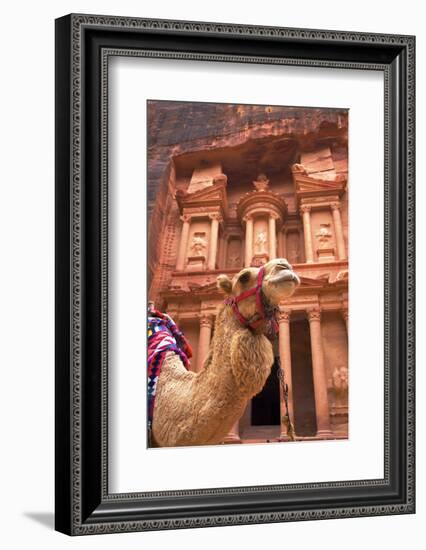 Camel in Front of the Treasury, Petra, Jordan, Middle East-Neil Farrin-Framed Photographic Print