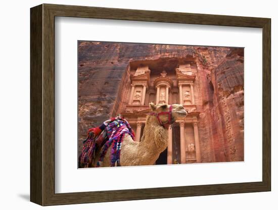 Camel in Front of the Treasury, Petra, Jordan, Middle East-Neil Farrin-Framed Photographic Print