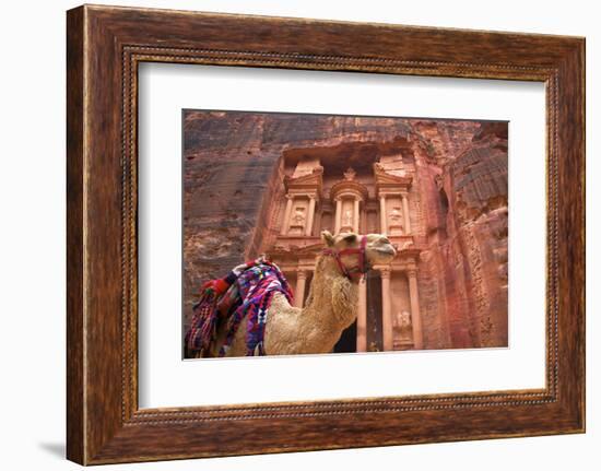 Camel in Front of the Treasury, Petra, Jordan, Middle East-Neil Farrin-Framed Photographic Print