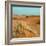 Camel in Sahara Desert-Steven Boone-Framed Photographic Print