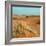 Camel in Sahara Desert-Steven Boone-Framed Photographic Print