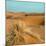 Camel in Sahara Desert-Steven Boone-Mounted Photographic Print