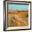 Camel in Sahara Desert-Steven Boone-Framed Photographic Print