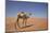 Camel in the Desert, Wahiba, Oman, Middle East-Angelo Cavalli-Mounted Photographic Print