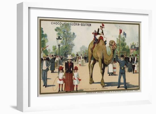 Camel, Jardin D'Acclimation, Paris-null-Framed Giclee Print