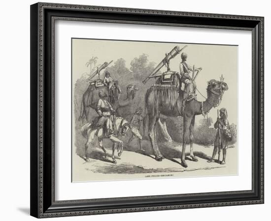 Camel Jingalls-null-Framed Giclee Print