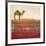 Camel Journey-Mj Lew-Framed Giclee Print