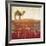 Camel Journey-Mj Lew-Framed Giclee Print