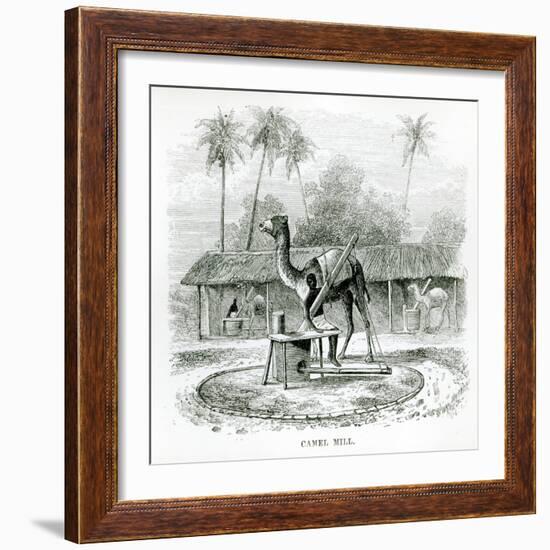 Camel Mill, from Travels in Africa by J.F Elton, 1879-null-Framed Giclee Print