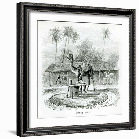 Camel Mill, from Travels in Africa by J.F Elton, 1879-null-Framed Giclee Print