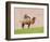 Camel on Pink-Brooke T. Ryan-Framed Art Print